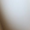 chenelia_1